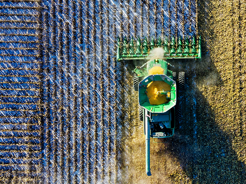 cultivadoras cultivadoras